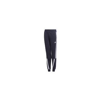 B BOLD PANT