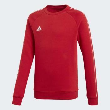 CORE18 SW  TOP Y