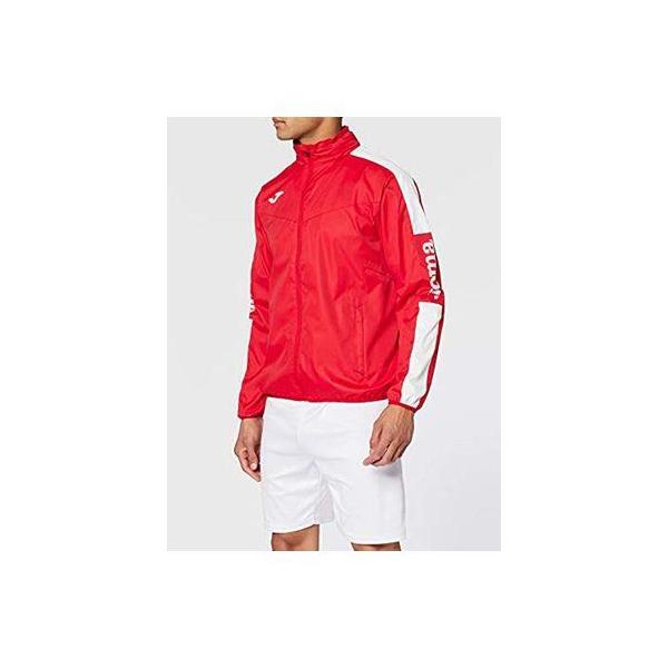 CHAMPION IV