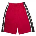 JDB AIR JORDAN HBR BALL SHORT